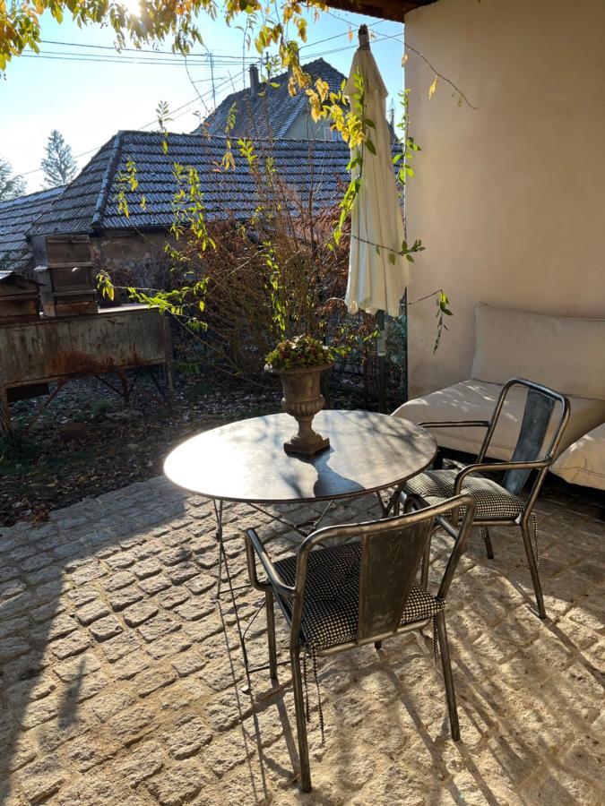 Studio De Charme Avec Terrasse Privee, Jardin Partage Bouxwiller  المظهر الخارجي الصورة